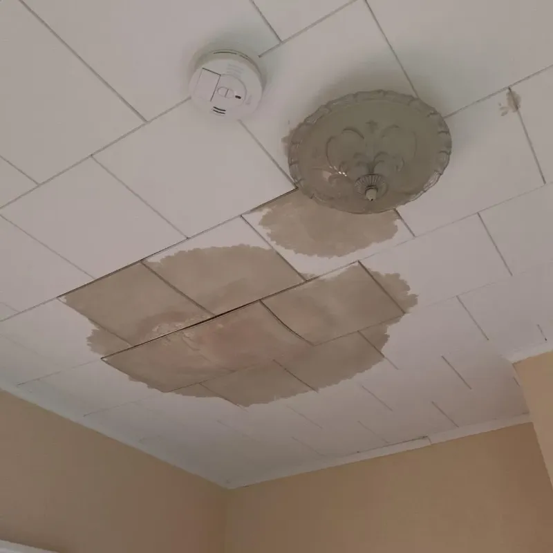 Ceiling Water Damage Repair in Harrison County, OH