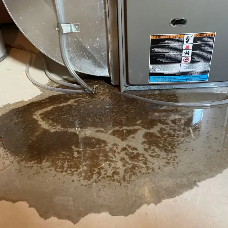 Pipe Burst and Leak Restoration in Harrison County, OH