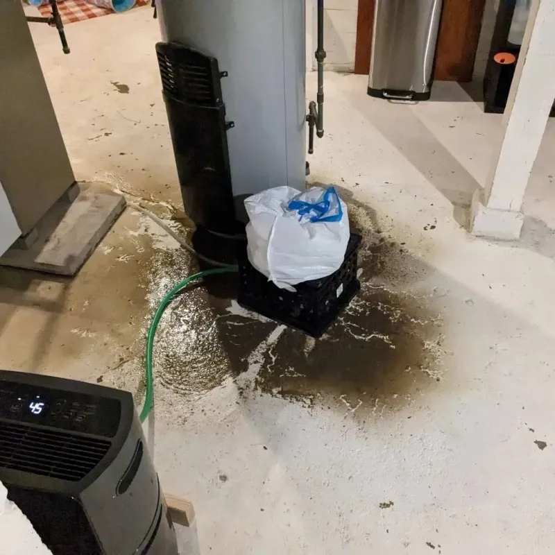 Sewage Backup Cleanup Service in Harrison County, OH